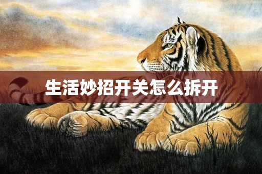 生活妙招开关怎么拆开