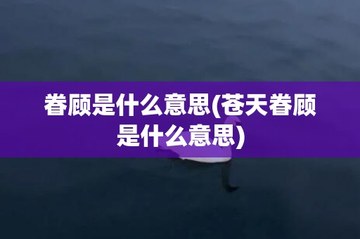眷顾是什么意思(苍天眷顾是什么意思)
