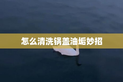 怎么清洗锅盖油垢妙招