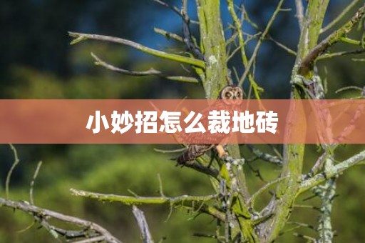 小妙招怎么裁地砖