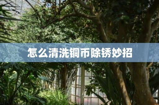怎么清洗铜币除锈妙招