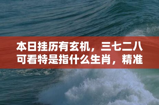 本日挂历有玄机，三七二八可看特是指什么生肖，精准词意