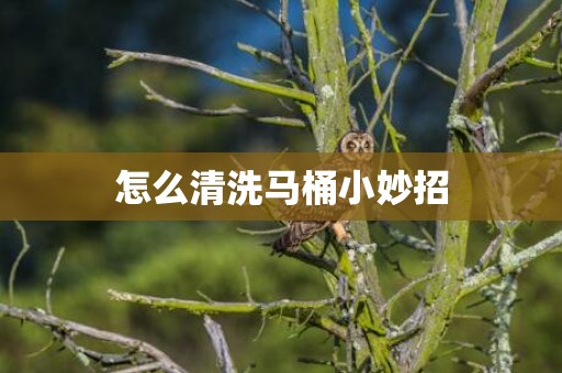 怎么清洗马桶小妙招