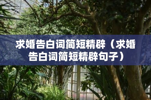 求婚告白词简短精辟（求婚告白词简短精辟句子）