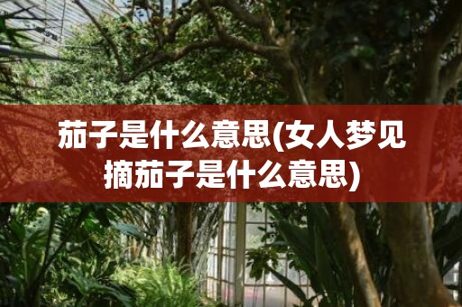 茄子是什么意思(女人梦见摘茄子是什么意思)