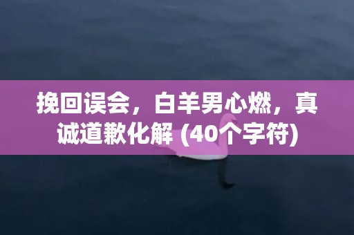 挽回误会，白羊男心燃，真诚道歉化解 (40个字符)