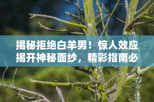 揭秘拒绝白羊男！惊人效应揭开神秘面纱，精彩指南必读！
