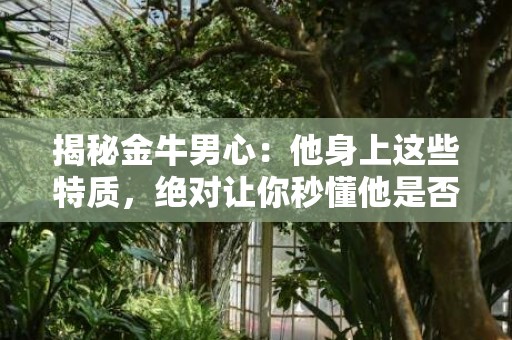 揭秘金牛男心：他身上这些特质，绝对让你秒懂他是否钟情！