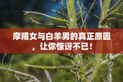 摩羯女与白羊男的真正原因，让你惊讶不已！
