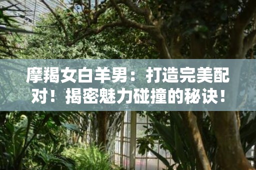 摩羯女白羊男：打造完美配对！揭密魅力碰撞的秘诀！