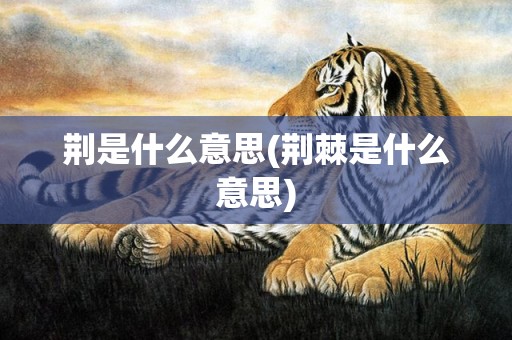 荆是什么意思(荆棘是什么意思)