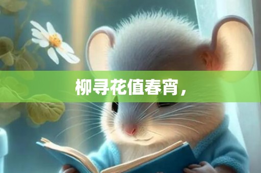 柳寻花值春宵，