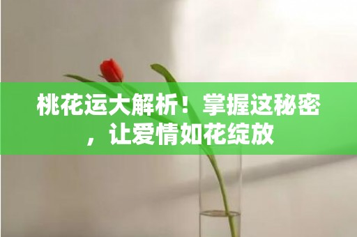 桃花运大解析！掌握这秘密，让爱情如花绽放