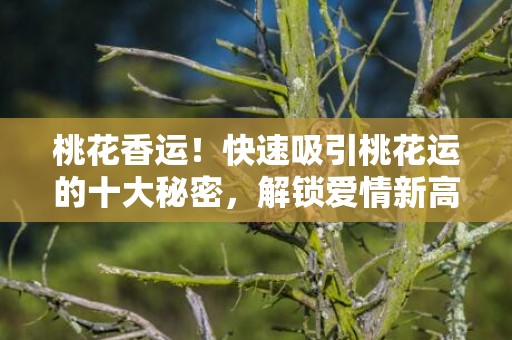桃花香运！快速吸引桃花运的十大秘密，解锁爱情新高度！