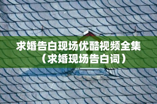 求婚告白现场优酷视频全集（求婚现场告白词）