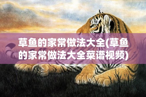草鱼的家常做法大全(草鱼的家常做法大全菜谱视频)