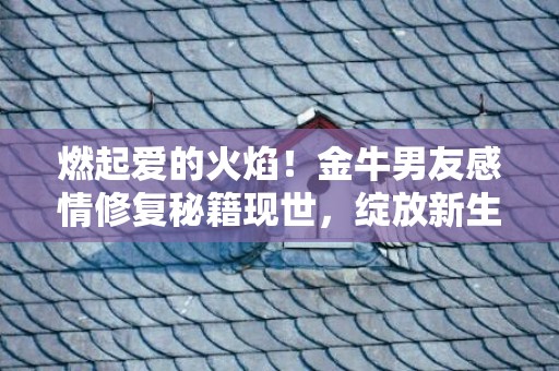 燃起爱的火焰！金牛男友感情修复秘籍现世，绽放新生！