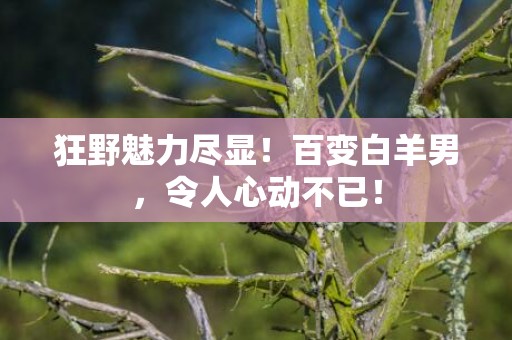狂野魅力尽显！百变白羊男，令人心动不已！