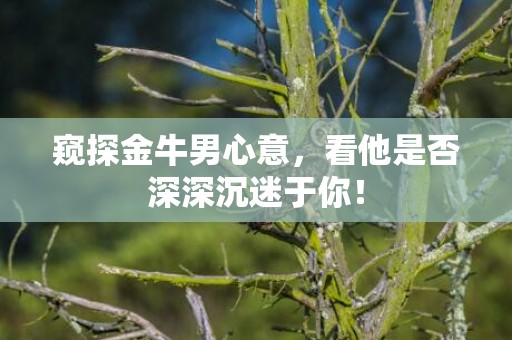 窥探金牛男心意，看他是否深深沉迷于你！