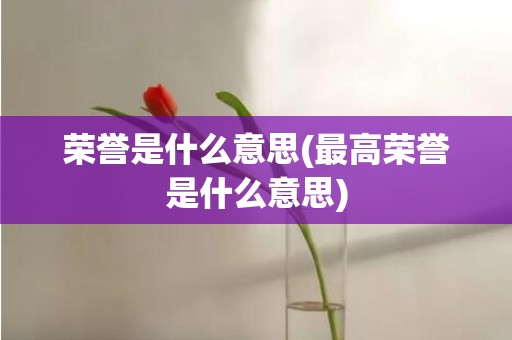 荣誉是什么意思(最高荣誉是什么意思)