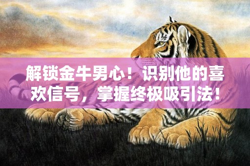 解锁金牛男心！识别他的喜欢信号，掌握终极吸引法！