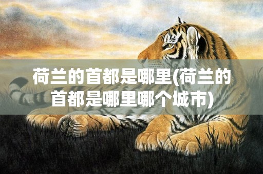 荷兰的首都是哪里(荷兰的首都是哪里哪个城市)