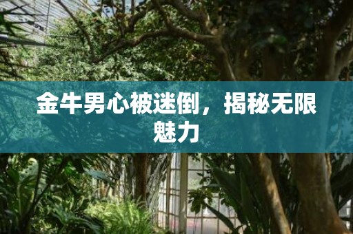 金牛男心被迷倒，揭秘无限魅力