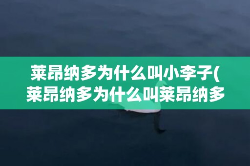 莱昂纳多为什么叫小李子(莱昂纳多为什么叫莱昂纳多)
