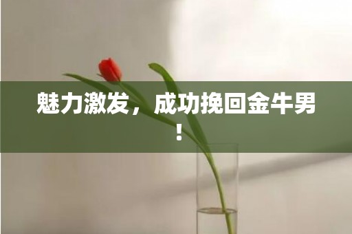 魅力激发，成功挽回金牛男！