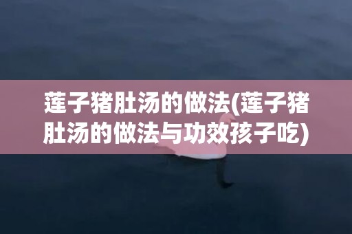 莲子猪肚汤的做法(莲子猪肚汤的做法与功效孩子吃)