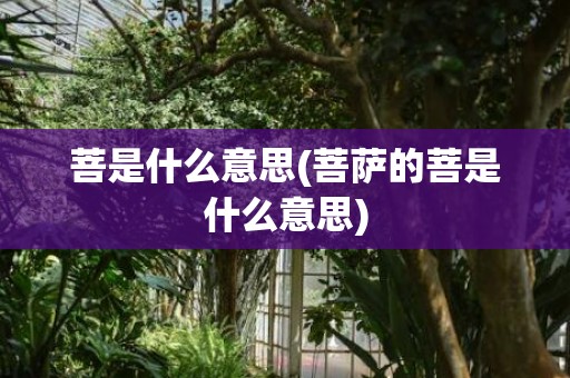 菩是什么意思(菩萨的菩是什么意思)