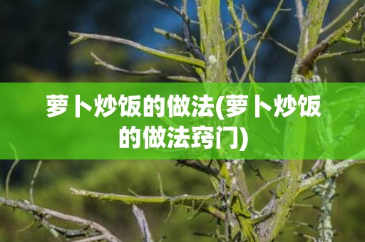萝卜炒饭的做法(萝卜炒饭的做法窍门)