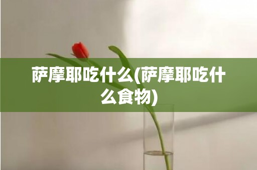 萨摩耶吃什么(萨摩耶吃什么食物)