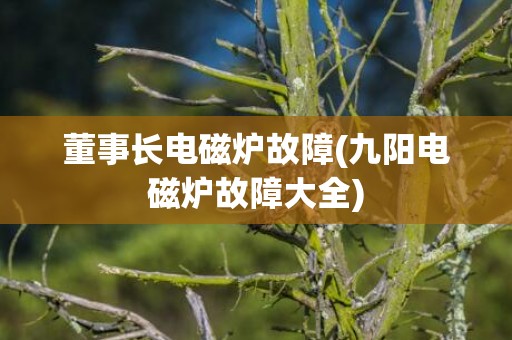 董事长电磁炉故障(九阳电磁炉故障大全)