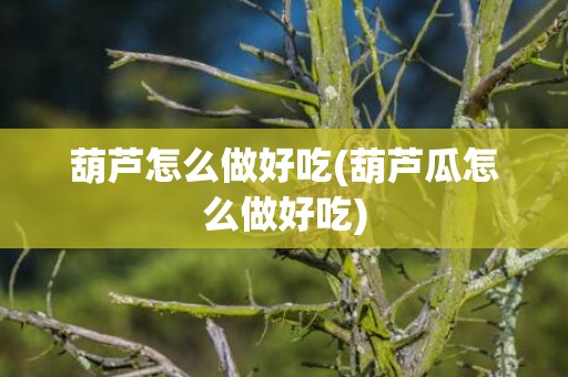 葫芦怎么做好吃(葫芦瓜怎么做好吃)