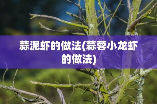 蒜泥虾的做法(蒜蓉小龙虾的做法)