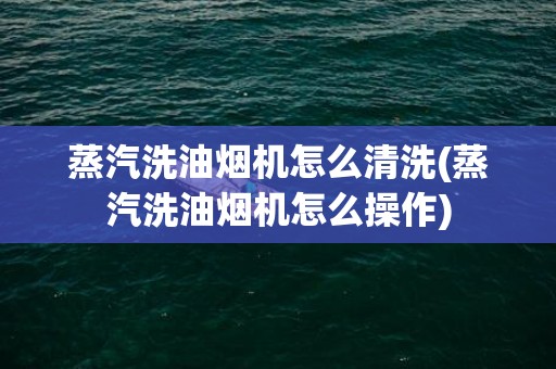 蒸汽洗油烟机怎么清洗(蒸汽洗油烟机怎么操作)
