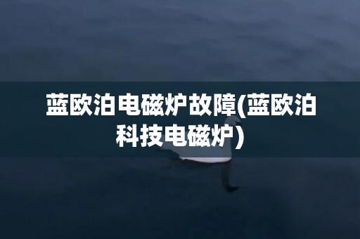 蓝欧泊电磁炉故障(蓝欧泊科技电磁炉)