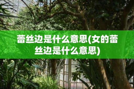 蕾丝边是什么意思(女的蕾丝边是什么意思)
