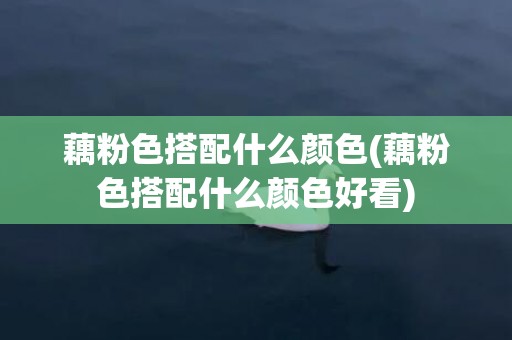 藕粉色搭配什么颜色(藕粉色搭配什么颜色好看)