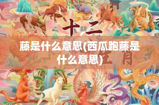 藤是什么意思(西瓜跑藤是什么意思)