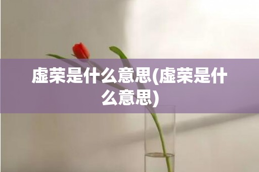 虚荣是什么意思(虚荣是什么意思)