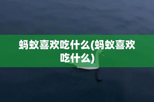 蚂蚁喜欢吃什么(蚂蚁喜欢吃什么)