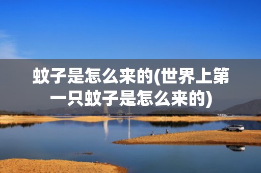 蚊子是怎么来的(世界上第一只蚊子是怎么来的)