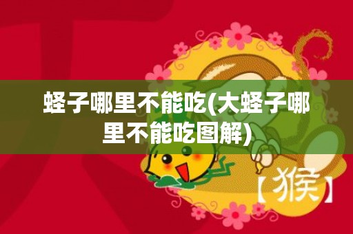 蛏子哪里不能吃(大蛏子哪里不能吃图解)