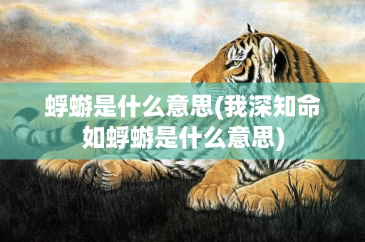 蜉蝣是什么意思(我深知命如蜉蝣是什么意思)