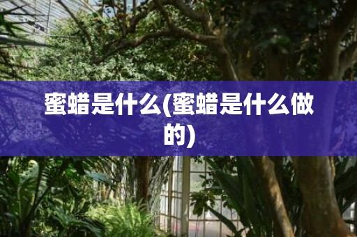 蜜蜡是什么(蜜蜡是什么做的)