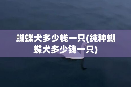 蝴蝶犬多少钱一只(纯种蝴蝶犬多少钱一只)