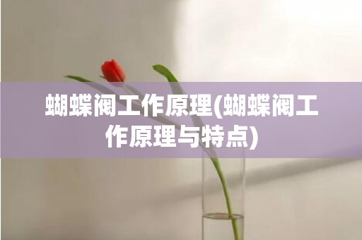 蝴蝶阀工作原理(蝴蝶阀工作原理与特点)