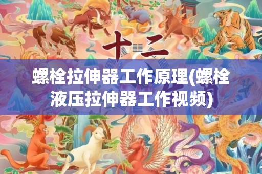 螺栓拉伸器工作原理(螺栓液压拉伸器工作视频)